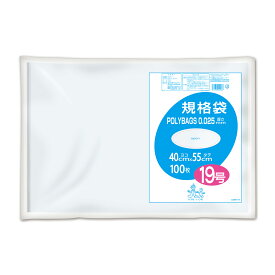 {5ケース以上特別価格（事業者限定）}L025-19 ポリバック規格袋 19号 0.025mm 透明100P　オルディ　ポリ袋