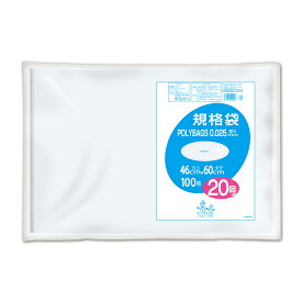 {5ケース以上特別価格（事業者限定）}L025-20 ポリバック規格袋 20号 0.025mm 透明100P　オルディ　ポリ袋