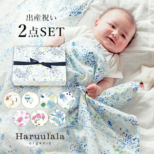 I[KjbNRbg y K[[ uPbg + ^g + BOX zZbg Haruulala oYj lC j̎q ̎q boy girl nE Mtg MtgZbg v[g uh ʔN t  H ~