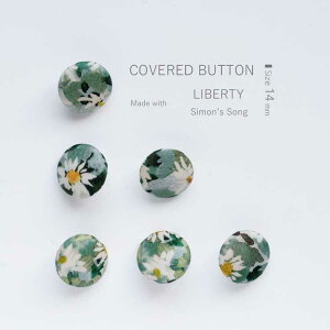 sa14~toeB VYE\O d ݃{^i݃{^, ݃{^j莝s[XA`jbNAuEX̃{^ւÃANZgɁ