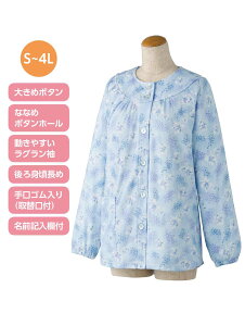 傫߃{^pW}() 傫߃TCY@yCFz