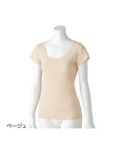 fB[X 炩K[[҃t`Ci[ / wlp /  / 100 / z /  / ʋC / 뒷߁@yCFz