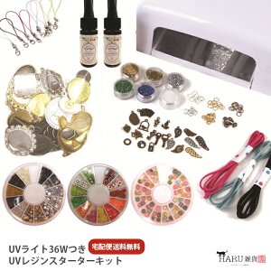 Wt2{t UVCg 36W Zbg X^[^[Lbg ^C}[t 9wd4{ NA[ 50g uv ~[M `[ ۃJ JjJ Xgbv X^bY p[ XG[hR  fRp[