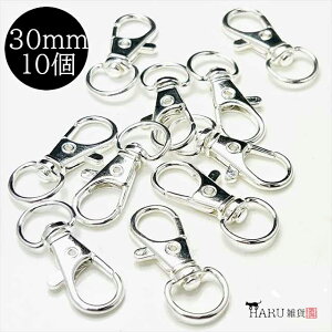 T[rXi iXJ 30mm zCgVo[ 10Zbg  o[iXJ ]Jt JjJ tbN ߋ nhCh ANZT[ p[c L[z_[ | ڑ Vo[