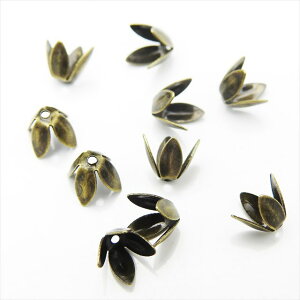 t[  4 8mm 10 [^ Ԃт ԕ ԍ r[YLbv Jbv bp[c e ANZT[ p[c | nhCh  AeB[N S[h zCgVo[ uY