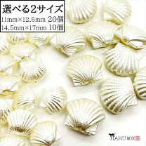 楽天市場】シェル 貝殻の通販