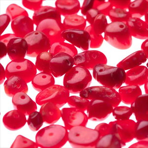  א 30g  r[Y VR p[Xg[    ^[RCY sXY [YNH[c AWXg Vg IjLX nECg J[lA bhR[ 