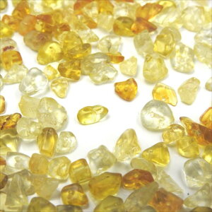  א 30g  r[Y VR p[Xg[    ^[RCY sXY [YNH[c AWXg Vg IjLX nECg J[lA bhR[ 