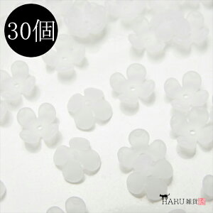 ANt[ tXg r[Y 4 [^ 10mm 30Zbg d NA[ Ԃт ԕ L r[Y ANZT[ p[c KX Ɏq    W `[ s