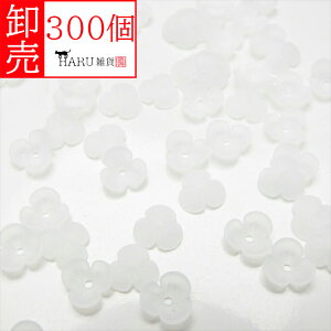  ANt[ tXg r[Y 3 ^ 9mm 300Zbg c NA[ Ԃт ԕ L r[Y ANZT[ p[c KX Ɏq     