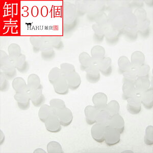  ANt[ tXg r[Y 4 [^ 10mm 300Zbg d NA[ Ԃт ԕ L r[Y ANZT[ p[c KX Ɏq     