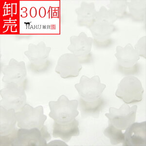  ANt[ tXg r[Y 6 [^ 9mm 300Zbg e NA[ Ԃт ԕ L r[Y ANZT[ p[c KX Ɏq     