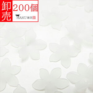  ANt[ tXg r[Y 5 ^ 20mm 200Zbg g NA[ Ԃт ԕ L r[Y ANZT[ p[c KX Ɏq     