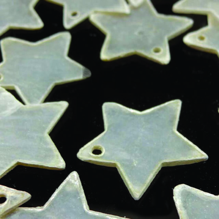 楽天市場 シェルプレート スター 10枚セット 星 貝 シェルチャーム チップ パーツ シェルビーズ ホワイト スケルトン 透明 貝殻 海 夏 ネイル ピアス イヤリング キーホルダー ハンドメイド アクセサリー インテリア アクセサリーパーツのharu雑貨