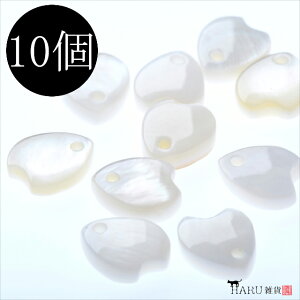 VFp[c jbN 10Zbg n[g ό^ VF`[ VFr[Y zCg AC{[ v[g Lk ό^ C  lC sAX CO L[z_[ nhCh ANZT