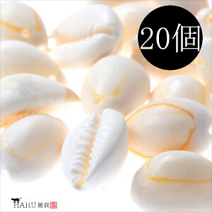 VFp[c JE Lk20Zbg L VF`[ VFr[Y zCg AC{[ v[g Lk L C  lC sAX CO L[z_[ nhCh ANZT