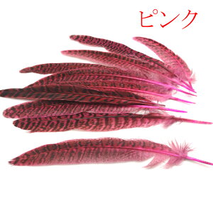 tFU[ H LW 10Zbg    f | sAX CO lbNX RT[W ANZT[ p[c nhCh RXv _X  wbhhX