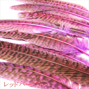 tFU[ H LW 10Zbg    f | sAX CO lbNX RT[W ANZT[ p[c nhCh RXv _X  wbhhX
