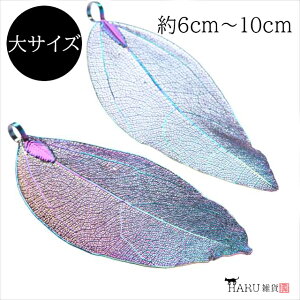 t`[ C{[ 2Zbg XPg[t ͗t t t p[c XJV Jt  C[ ^ ANZT[ sAX CO nhCh f ޗ