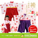 はかまカバーオール【60cm】【70cm】【80cm】【90cm】【はかま】【ハカマ】【袴】【袴カバーオール】【着ぐるみ】【ベビー服】【よそいき】【キグルミ】【... ランキングお取り寄せ