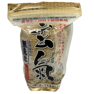 川島米穀店 無農薬国産玄米 玄氣1.5kg 無洗米 GABA ギャバ 健康米 美味しい玄米