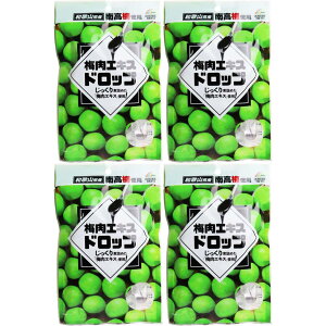 ~GLXhbv47g VK[LfB  ~ a̎RY썂~gp ꌧYz