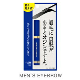 メンズ眉墨 1回描くと約7日間染着効果！ 肌に負担をかけず、簡単に若々しい印象に◎