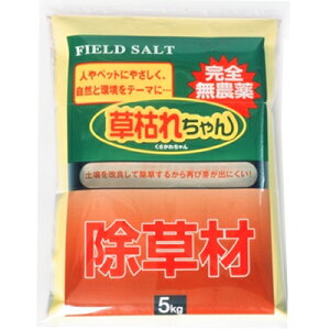 ͂ꂿ5kg×4Zbg  y S_ lAybgAnɖQ G獪  