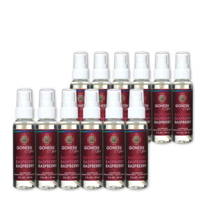 GONESH SPRAY RASPBERRY 12PCS / K[lbV Xv[ Yx[ 12Zbg / AIR FRESHENER F