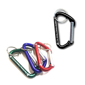 STRING CHEESE INCIDENT CARABINER KEY CHAIN / �X�g�����O �`�[�Y �J���r�i �L�[�����O �L�[�z���_�[