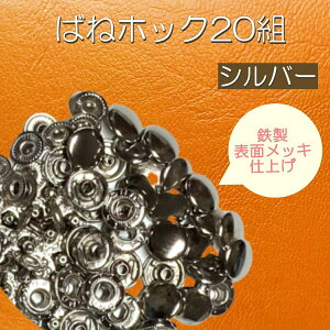 zbN {^ ΂˃zbN 20g zbNZbg (Pi) Xibv{^ zbNt IׂTCYJ[ 10mm 12.5mm 15mm Vo[  S[h  uY | CN U[Ntg   N