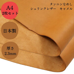 y 1|Cg5{×5OFFCP zU[Ntg v VN U[ a4 JbgU[ Y v ^jȂ߂ 2Zbg | v v׍H 