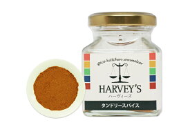タンドリースパイス35g　HARVEY's　（ハーヴィーズ）シーズニング　【調味料/簡単/タンドリーチキン/スパイス】