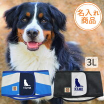 楽天市場】大型犬（マナーベルト｜トイレ用品）：犬用品<ペット  