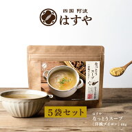 店長誕生日記念で半額！【メール便送料無料】 なっとうスープ洋風ブイヨン5袋セット納豆菌・納豆キナーゼ…