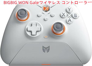 BIGBIG WON Gale Rg[[ 2.4GCX switch XCb` PCRg[[ [dx[XtBluetooth SwitchQ[pbhAPCAv̐ݒ萧A4̃JX^{^ASwitch/Switch Lite/Switch OLED/Wi