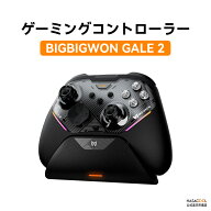 BIGBIG WON Gale 2 MOJHON ワイヤレスコントローラー Bluetooth接続 TMRスティック搭載 Switch2 / PC / A…