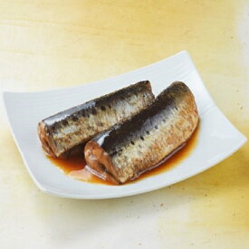 氷温熟成いわし照り煮10パック【鰯 イワシ 煮魚 真空パック 冷凍食品 個包装 国産 おかず ご飯のお供 お惣菜 湯煎 一人暮らし フードロス 温めるだけ 冷凍惣菜 冷凍ギフト 母の日 煮物 簡単調理 和食 弁当 いわし 真空パック 】