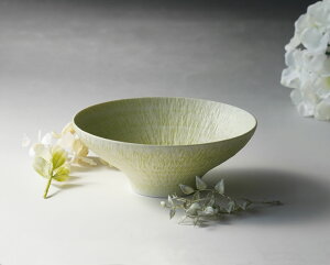 ͂ݏ H sazanami qijaR WAZAN pXeJ[ ђq q Ђ q @CX{E VA [Og {E k JWA Vv  HE