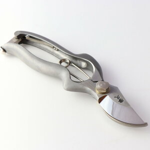 XeX@YP165S@ORn@@ƏGv@