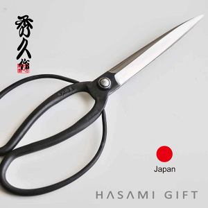 v 120mmn@ORn@@ƏGv@|