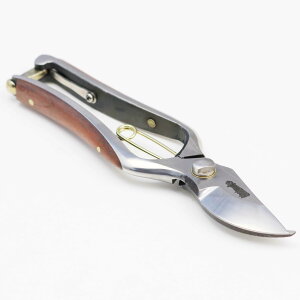 ������ SP�@bubinga�@�O�R�n���@�@�ƏG�v�@������