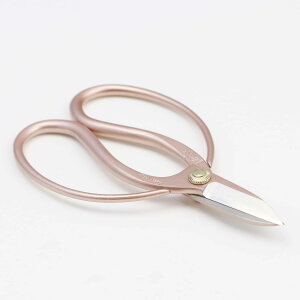 �����@�@���@�O�R�n���@�@�ƏG�v�@���|��