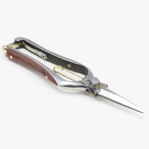 �Ԑ���SP�@bubinga�@�O�R�n���@�@�ƏG�v�@������