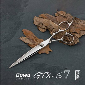 【飛燕シザー】Hien Dowa Cobalt GTX-S7 一番人気のコバルトデザインシザー 持ちやすい 立体ハンドル 大型 剣刃6.5インチ/7.0インチシザー コバルトV10 ロング 美容師 理容師 ハサミ 散髪 ヘアーカット メンズカット 【送料無料】