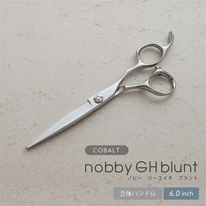 yzRog nobby GHugVU[6.0C` e nT~ ͂ et et vp U wAJbg x[XJbg ̃nh