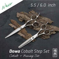 NEW【飛燕シザー】【送料無料】 飛燕 新！コバルトステップセット Hien Cobalt Step Set 剣刃シザー&セニ…