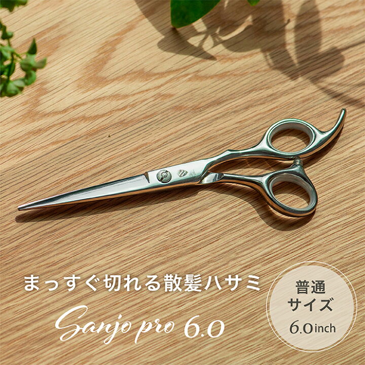 楽天市場】【送料無料】自宅でもプロ仕様 失敗しないハサミ 6.0inch 
