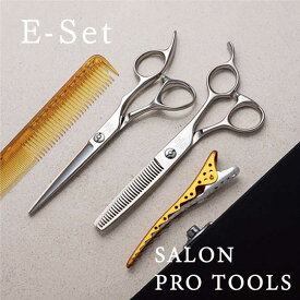 【送料無料 完全プロ仕様】【ハサミハウス】【超お得！】E - set 立体ハンドル シザー＆セニングセット ハイクオリティなプロセット 美容 ハサミ スキバサミ 美容 美容師 理容 理容師 散髪 はさみ シザー セニング