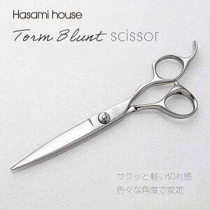 y SvdlzynT~nEXz̃nh Torm Blunt g ug VU[ 440Cgp vp e e nT~  wA[Jbg U e͂ eVU[